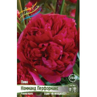 Корень Пиона Комманд Перформанс (серия Коллекционер)