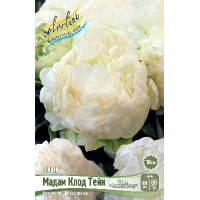 Корень Пиона Мадам Клодтейн (серия Коллекционер)