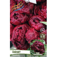 Корень Пиона Хайлайт (серия Коллекционер)