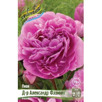 Корень Пиона Александр Флэминг