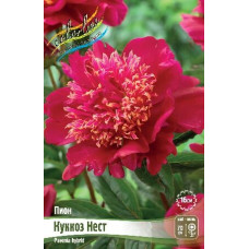 Корень Пиона Куккоз Нэст