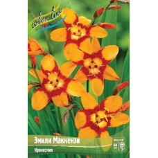 Луковицы Крокосмии Эмили МакКензи 4 шт