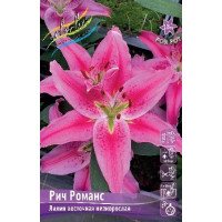 Луковица Лилии восточной горшечной Рич Романс