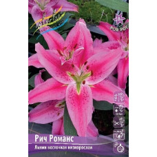 Луковица Лилии восточной горшечной Рич Романс