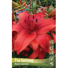 Луковица Лилии азиатской Рэд Хайленд