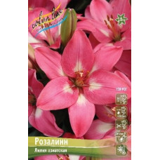 Луковица Лилии азиатской Розалин